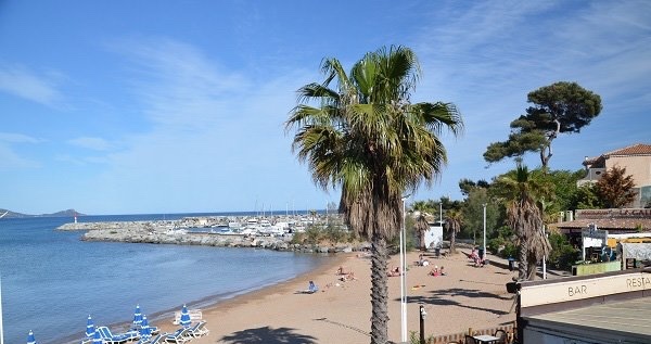 Vue sur la plage de La Galliote : palmiers, sable doré et mer Méditerranée